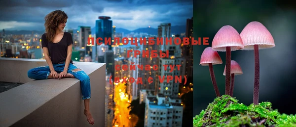 мяу мяу кристалл Покачи