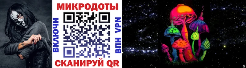 Купить где  Чита  Псилоцибиновые грибы Psilocybe 